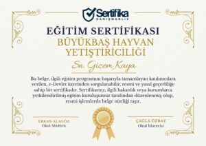 BÜYÜKBAŞ HAYVAN YETİŞTİRİCİLİĞİ USTALIK & KALFALIK BELGESİ