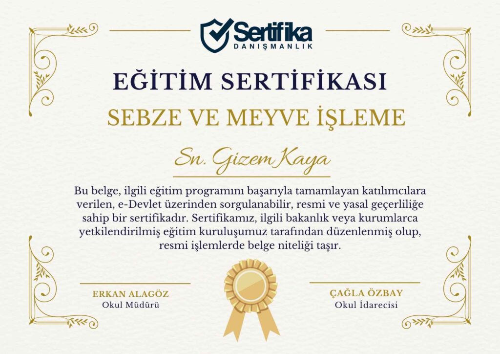 SEBZE VE MEYVE İŞLEME USTALIK & KALFALIK BELGESİ