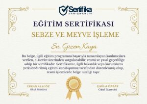 SEBZE VE MEYVE İŞLEME USTALIK & KALFALIK BELGESİ